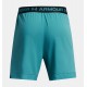 Under Armour Short Vanish Woven 6in Graphic